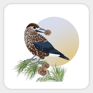 Eurasian Nutcracker Sticker